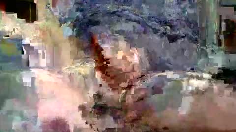 phill268 online show from December 28, 6:49 am