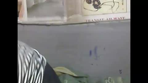 pierrette12345 online show from April 11, 6:34 pm