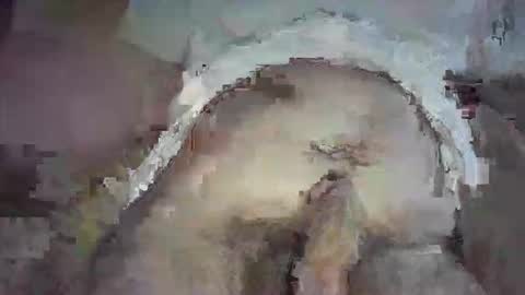 piggyplaypen online show from June 3, 8:36 pm