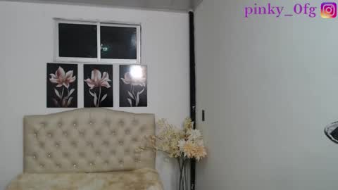 Snapshot of pinky_f00x chatting on October 1, 1:05 am pinky_f00x online show from October 1, 1:05 am
