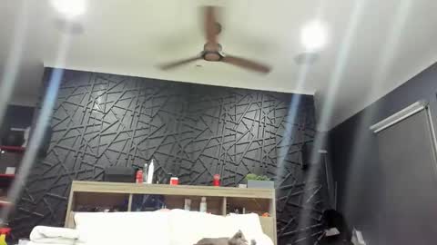 playinwidfire online show from March 8, 11:03 am