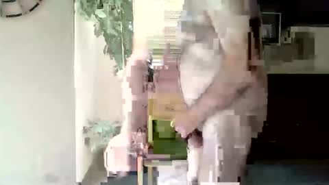 pluchet online show from May 3, 7:36 am