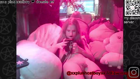 plushcatboy online show from June 17, 5:01 am