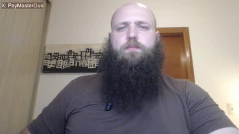 Bear online show from April 4, 4:19 am