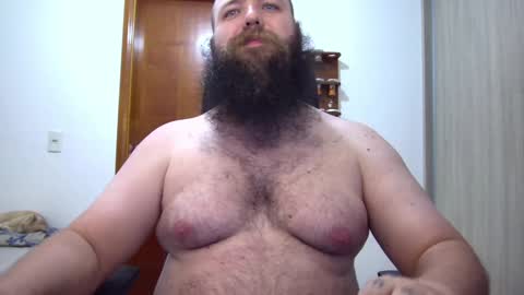 Bear online show from February 7, 3:24 am