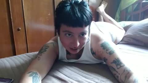 Poly online show from September 21, 8:13 pm