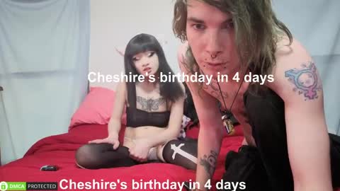 Cheshire  Bee online show from June 5, 11:54 pm