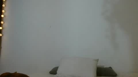 porcelainlux online show from June 19, 2:17 am