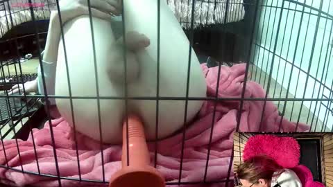 PrIncessJulia0X online show from February 5, 2:48 am