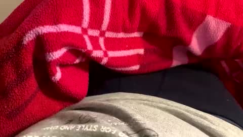 privat2025 online show from February 1, 8:28 pm