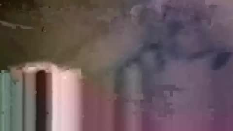 prvive2025 online show from November 3, 5:58 pm