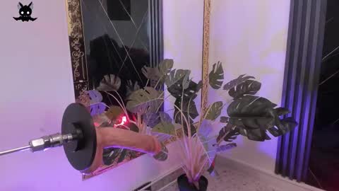 psycodoll online show from March 23, 5:07 pm