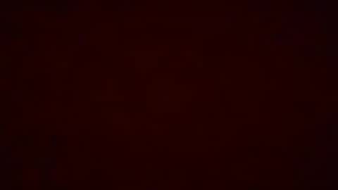 Pumpkin bunny online show from December 19, 12:28 am