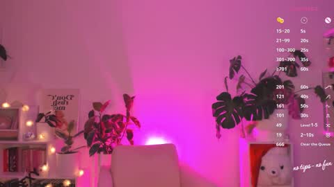 kat follow  online show from November 27, 1:41 pm