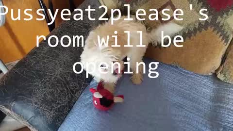 Rick online show from February 16, 9:48 am