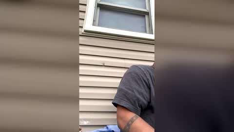 pyrex8 online show from April 13, 8:57 pm