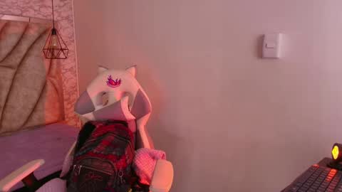   online show from November 24, 11:20 am