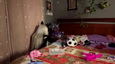 queenchaina online show from November 22, 6:34 am