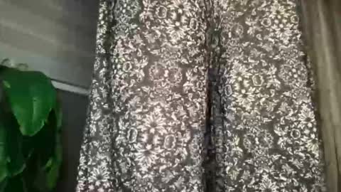 QUEEN online show from March 3, 7:32 pm