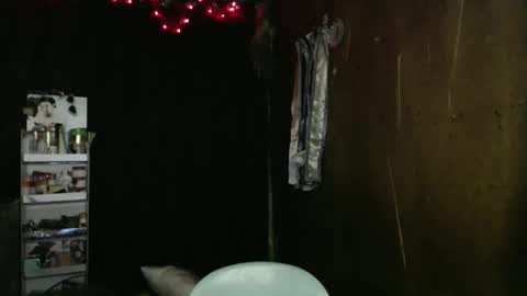 queenpinayebony_xx online show from April 10, 5:50 pm