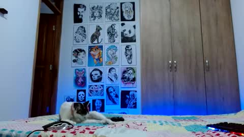 Snapshot of rachel_rosse11 chatting on October 21, 1:54 am Rachel online show from October 21, 1:54 am