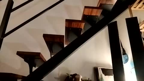 ranchoarg online show from February 23, 9:17 pm