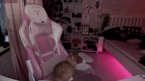 Rapunzel online show from November 5, 1:46 pm