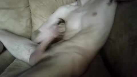 Snapshot of rayynex chatting on September 17, 3:59 pm rayynex online show from September 17, 3:59 pm