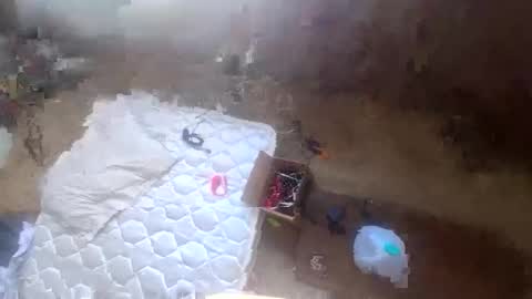 realisararebreed online show from December 21, 6:58 pm