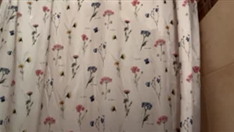 realpussy4 online show from March 27, 8:54 pm