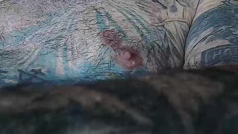 realrubpirate online show from April 24, 9:22 am