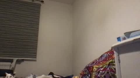 Redfox online show from December 22, 7:42 pm