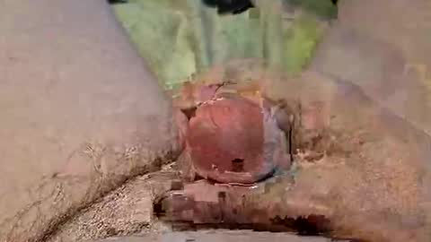 reggie007007 online show from February 3, 12:53 pm