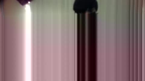 angel 3 online show from November 21, 6:33 am