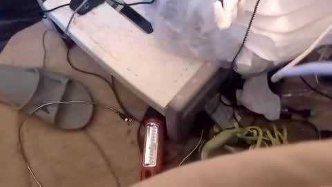 richiej04 online show from March 7, 11:10 am