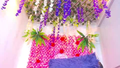 Risitos De Oro online show from November 20, 1:04 am