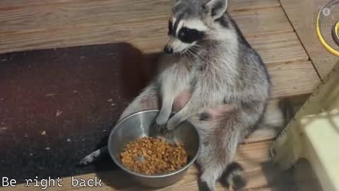 Ryan aka KeylimeRy online show from February 28, 11:47 am