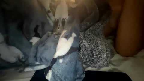 roarmance1 online show from October 30, 5:35 pm