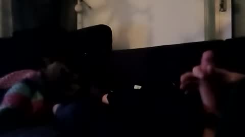 robbdmser3454 online show from March 6, 8:57 am