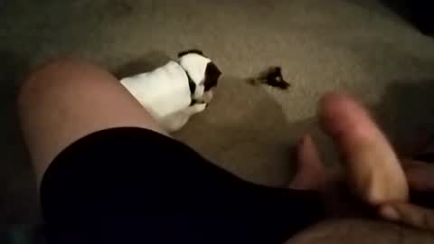 robbiebob6828 online show from November 27, 5:59 am