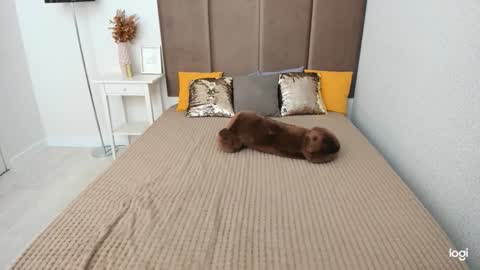 Snapshot of robertamorelly chatting on October 7, 6:20 am Betty online show from October 7, 6:20 am