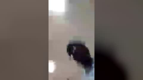 robertleemccoy92 online show from June 19, 2:17 am