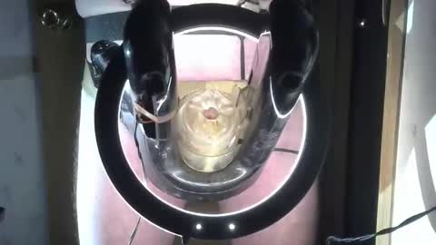 Robodickmilker online show from November 2, 12:21 am