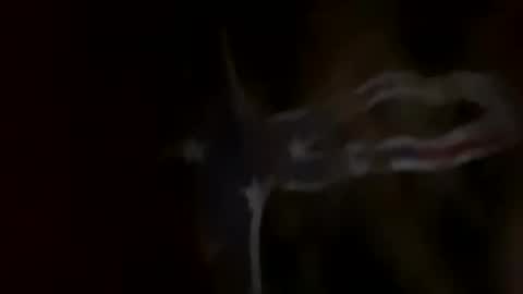 Snapshot of rockgod2112 chatting on September 17, 12:08 pm rockgod2112 online show from September 17, 12:08 pm