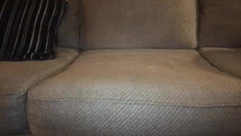 roger59267 online show from November 10, 5:10 am