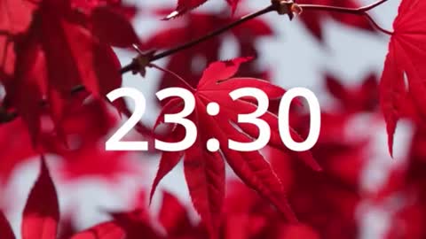 rolling_05 online show from March 5, 11:47 pm