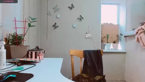 rosa843850 online show from February 2, 2:13 pm