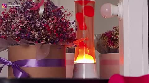 Rosalie online show from September 13, 8:06 am