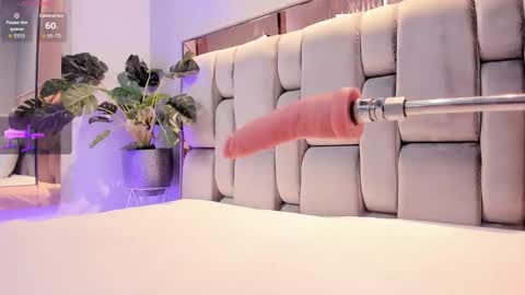 Rose online show from November 23, 5:05 am