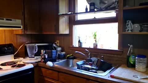 Snapshot of rosvelly8 chatting on October 13, 4:20 pm rosvelly8 online show from October 13, 4:20 pm